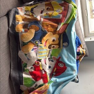 Paw Patrol Hooded Towel Bundle